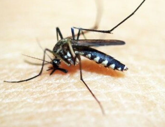 選擇殺蟲燈時應注意什么？